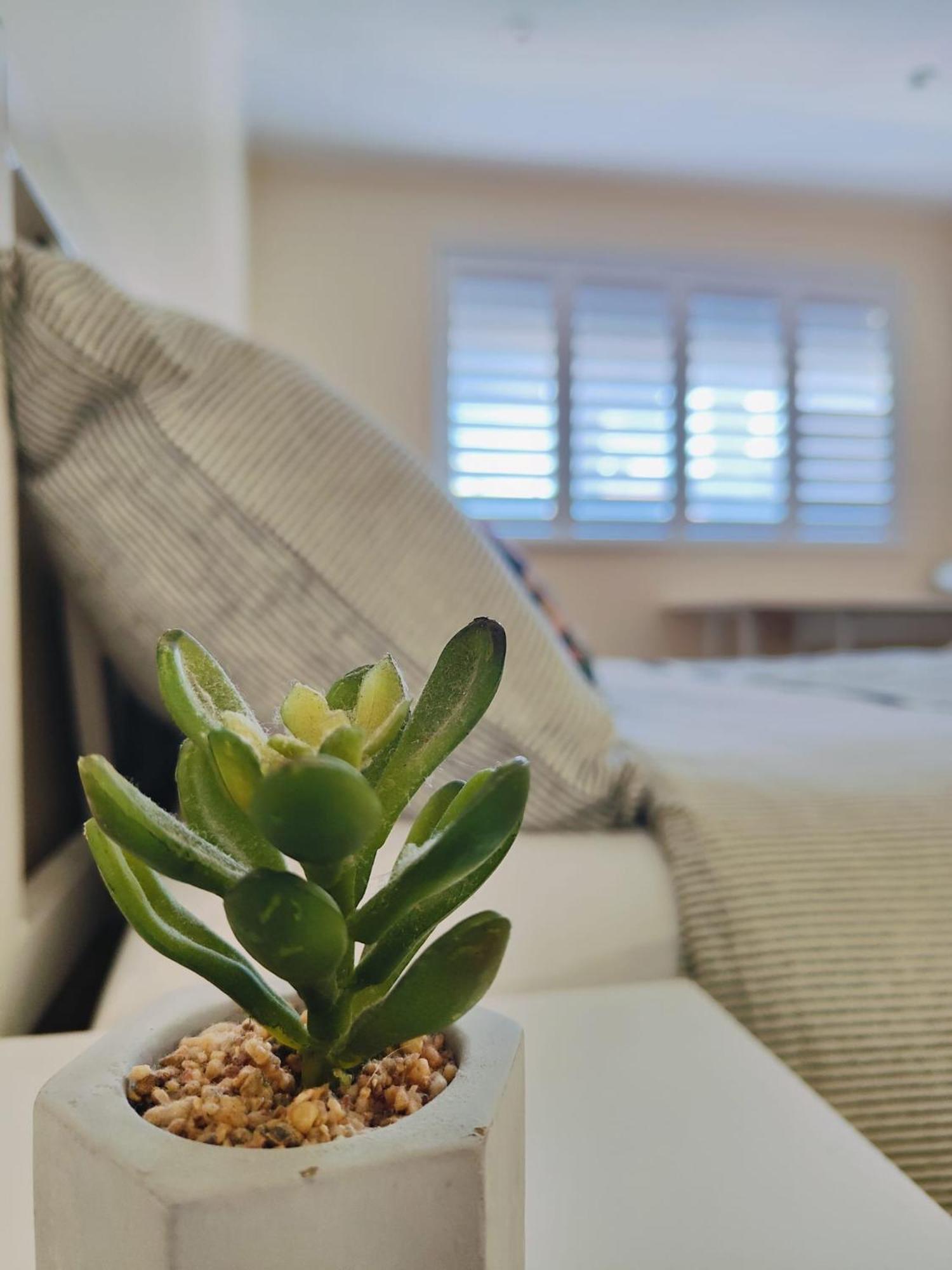 Adel'S House Bed & Breakfast London Ngoại thất bức ảnh